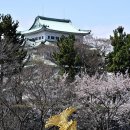 제주녹지리조트2 이미지