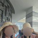 [사이판] 그로토동굴 스노클링 투어 가자그로토 후기