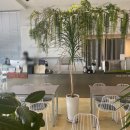 스테이호스텔 이미지