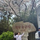 뚜벅이 | 부산 | 기장 해녀촌 뚜벅이 솔직 후기
