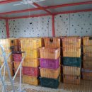 관우농장 이미지