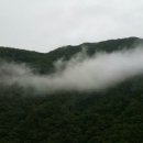 청송경찰서 이미지