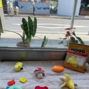 도기로움 | 광진구애견미용실 친구가 추천해준 도기로움 후기