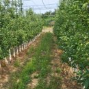 뉴가든공인중개사사무소 이미지