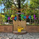 11530-06-30 | 서울숲에 포켓몬 등장!! 2026 포켓몬 시크릿 포레스트 30주년 행사 후기