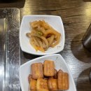 대구 본리 양꼬치맛집 신천운양꼬치 고급양갈비 가지볶음 후기