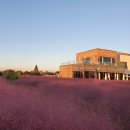 블랜드미(BLENDMI) 이미지