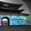 수원-2024 이미지