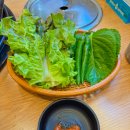 주정차 단속 - 051 | 광안동 맛집 점심추천 닭갈비는 무조건 여기! 셀프바 있는 I 유가네닭갈비 광안점 I