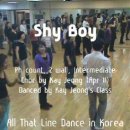 올댓라인댄스 동영상 - Shy Boy 이미지