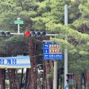 강릉경찰서(버스정류장) 이미지