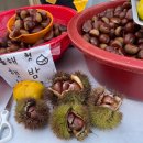 그라스 풀빌라 리조트 | 담양 그라스 풀빌라 가족여행 후기 !