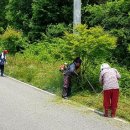 이서면 행정복지센터 이미지