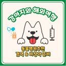 신촌 숲 동물병원 | 강아지 해외여행 검역 준비 동물병원 비상약 추천 신촌숲동물병원
