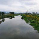 성산천 이미지