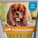 온누리부부약국 이미지