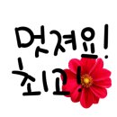 청년다움
