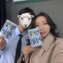 포토그레이시흥