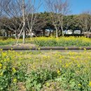 신서귀포 이미지