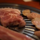 현대양돈 이미지