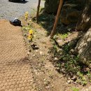 주식회사 화림건설 이미지