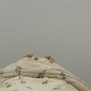 조원장 토탈뷰티 이미지