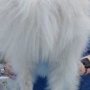 CM 동물병원 이미지