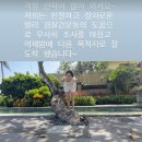 전혜빈 카카오 검색결과