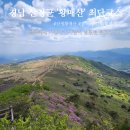 산이 있는 풍경 | BAC 100대 명산 경남 산청군 '황매산' 최단코스(원점회귀) 다녀온 솔직 후기 (26.5.4.기준) 1일 2산(2/2)