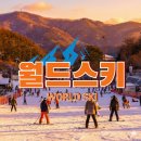 강촌 | 엘리시안강촌 스키강습 비용 후기