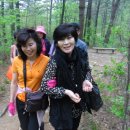 도산초교 이미지