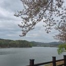 매곡초교 이미지