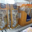 도그웨이살롱 이미지