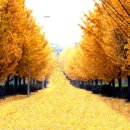 디마레의원 이미지