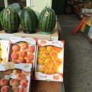 나주태평양약국 이미지