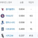 MLB 화반꿀이란 무엇인가? 이미지