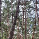 가리왕산가든 이미지