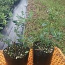 강산농장 이미지