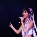 은냥이네 이미지