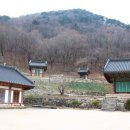 수도사 노사나불괘불탱 이미지