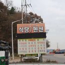 굴사랑 이미지