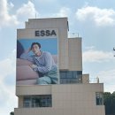 신혼가전가구 에싸 남양주플래그십스토어와 에싸 부티크 스토어 쇼룸 투어 및 에싸 소파 하바나 구매