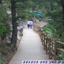 향목 이미지