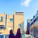 박솔미 카카오 검색결과