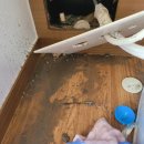 수자원공사 사택 이미지