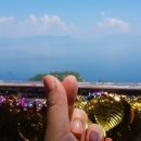 방죽포횟집 이미지