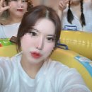 더스마일 독채 풀빌라 네이버블로그