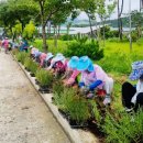 삼계면행정복지센터 이미지