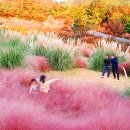 수남농장 이미지