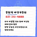 동탄2신안탑공인중개사사무소 | 라피아노 용인 공세 타운하우스 전세.분양 임장후기.숲세권 펜트하우스